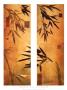 Bamboo Impressions Ii by Don Li-Leger Limited Edition Print