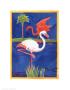White Flamingo by Paul Brent Limited Edition Print
