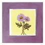 Shades Of Purple I by Peggy Abrams Limited Edition Print