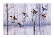 Misty Morning Mallards by Michael Bargelski Limited Edition Print