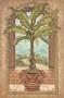 Classical Banana Tree by Janet Kruskamp Limited Edition Print