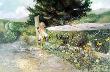 June by Carolyn Blish Limited Edition Print