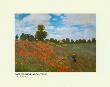 Poppies Near Argenteuil by Claude Monet Limited Edition Print