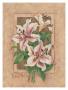 Lily Fresco by Barbara Mock Limited Edition Pricing Art Print