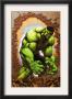 Marvel Age Hulk #3 Cover: Hulk by John Barber Limited Edition Print