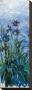 Iris Mauve (Detail) by Claude Monet Limited Edition Print