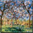 Spring In Giverny by Claude Monet Limited Edition Pricing Art Print