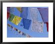 Buddhist Prayer Flags, Bodhnath, Kathmandu, Nepal, Asia by David Poole Limited Edition Print