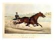 The King Of The Turf, St. Julien, Driven By Orrin A. Hickok, 1880 by Currier & Ives Limited Edition Print