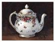 Mixed Blossom Teapot by Barbara Mock Limited Edition Print