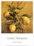 Lemon Branch by Linda Thompson Limited Edition Pricing Art Print