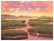 Bayou Mist Ii by Van Martin Limited Edition Print