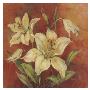 Crimson Lilies I by Barbara Mock Limited Edition Pricing Art Print