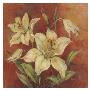 Crimson Lilies I by Barbara Mock Limited Edition Print