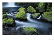 Water Below Wahclella Falls, Columbia River Gorge National Scenic Area, Oregon, Usa by Adam Jones Limited Edition Print