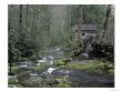 Tub Mill Along Roaring Fork, Great Smoky Mountains National Park, Tennessee, Usa by Adam Jones Limited Edition Print