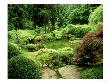 Pond Garden, Japanese Garden Portland Usa by Adam Jones Limited Edition Print