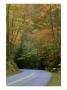 Roadway, Great Smoky Mountains National Park, Tn by Adam Jones Limited Edition Pricing Art Print