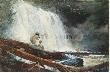 Waterfall In The Adirondacks by Winslow Homer Limited Edition Pricing Art Print