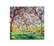 Printemps A Giverny, 1903 by Claude Monet Limited Edition Print