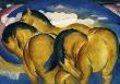 Little Yellow Horse, C.1912 by Franz Marc Limited Edition Print
