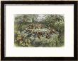 Musical Elf Teaches The Young Birds To Sing by Richard Doyle Limited Edition Pricing Art Print
