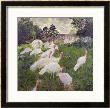 The Turkeys At The Chateau De Rottembourg, Montgeron, 1877 by Claude Monet Limited Edition Pricing Art Print