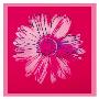 Daisy, C.1982 (Crimson And Pink) by Andy Warhol Limited Edition Pricing Art Print