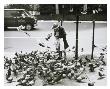 Old Woman Feeding Pigeons, C.1985 by Andy Warhol Limited Edition Print