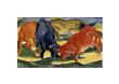 Fighting Cows by Franz Marc Limited Edition Print