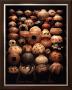 Painted Gourds by Robert Rivera Limited Edition Print