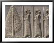 Carved Reliefs Of Palace Guard, Apadana Palace Staircase, Persepolis, Iran by David Poole Limited Edition Pricing Art Print