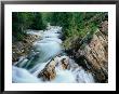 Crystal River, Gunnison National Forest, Colorado, Usa by Adam Jones Limited Edition Print