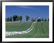 Manchester Horse Farm, Lexington, Kentucky, Usa by Adam Jones Limited Edition Pricing Art Print
