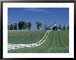 Manchester Horse Farm, Lexington, Kentucky, Usa by Adam Jones Limited Edition Print