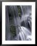 Roaring Fork, Motor Nature Trail, Great Smoky Mountains National Park, Tennessee, Usa by Adam Jones Limited Edition Print