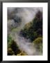 Mist Rising After Spring Rain In The Great Smoky Mountains National Park, Tennessee, Usa by Adam Jones Limited Edition Print