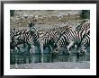 Zebras (Equus Zebra) Drinking In River, Etosha National Park, Namibia by Dennis Jones Limited Edition Pricing Art Print