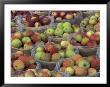 Macintosh Apples In Baskets, New York State, Usa by Adam Jones Limited Edition Print