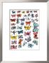 Butterflies, C.1955 by Andy Warhol Limited Edition Pricing Art Print