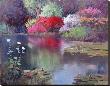 Glowing Watergarden by Kent Wallis Limited Edition Print