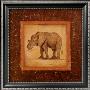 African Wildlife Ii, Elephant by Debra Swartzendruber Limited Edition Print