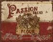 Passion Flour by Sally Ray Cairns Limited Edition Print