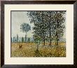 Fields In Spring by Claude Monet Limited Edition Print
