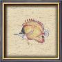 Tropical Fish Ii by Debra Swartzendruber Limited Edition Pricing Art Print