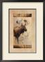 Moose by Judy Gibson Limited Edition Print