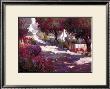 Sunlight And Shadows by Kent Wallis Limited Edition Print