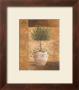 Topiary I by Vivian Flasch Limited Edition Print