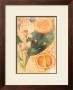 Citrus Aurantium by Thea Schrack Limited Edition Pricing Art Print