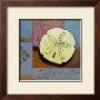 Sanibel Sand Dollar by Paul Brent Limited Edition Pricing Art Print